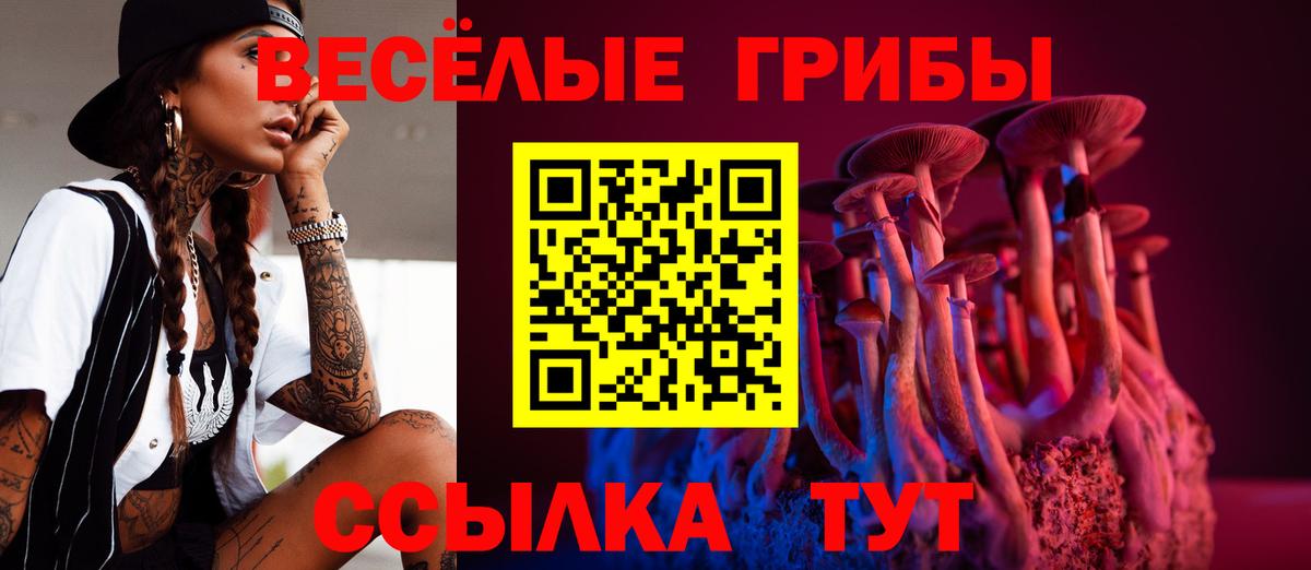 купить закладку  Галлюциногенные грибы мухоморы  Вход с VPN  Псилоцибиновые грибы мухоморы  Туапсе 